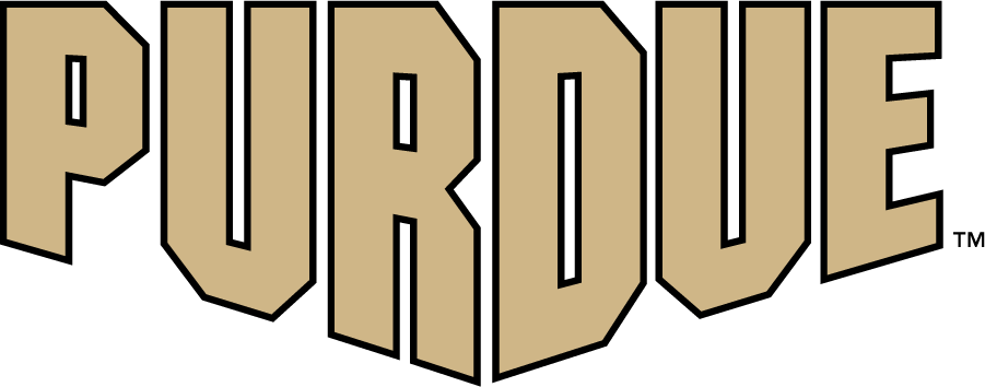 Purdue Boilermakers 2020-Pres Wordmark Logo v2 iron on transfers for clothing